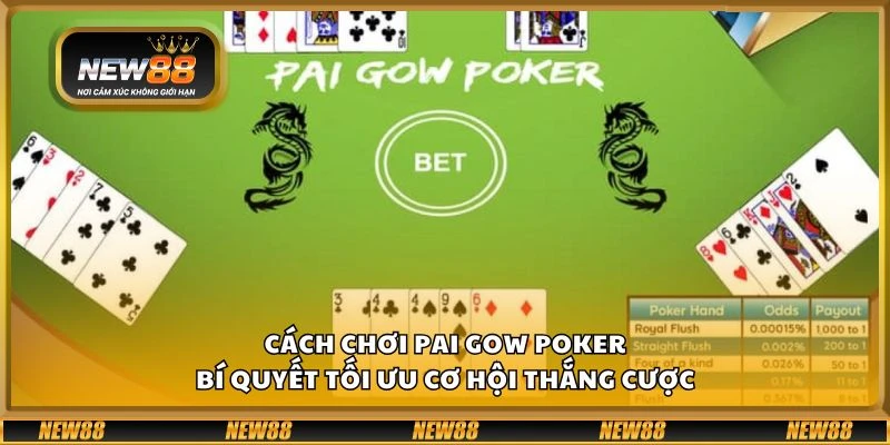 Cách chơi Pai Gow Poker - Bí quyết tối ưu cơ hội thắng cược 1 Cách chơi Pai Gow Poker - Bí quyết tối ưu cơ hội thắng cược