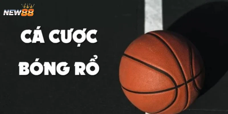 Khám phá cơ bản về cược bóng rổ