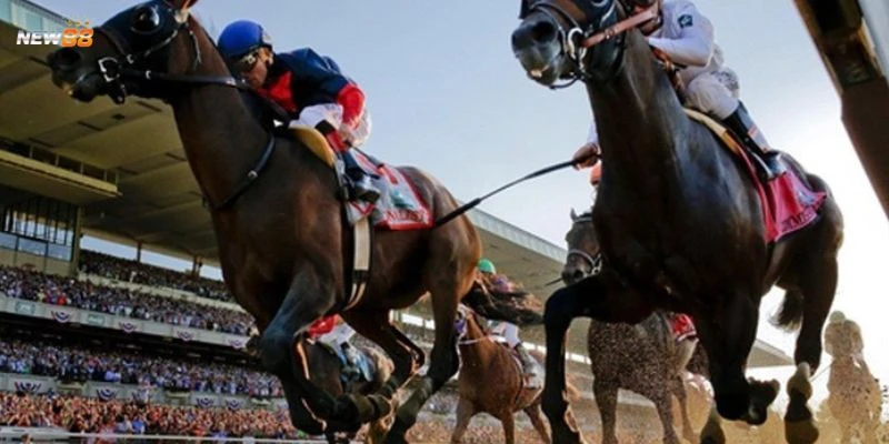 Cách vào tiền hợp lý khi cược đua ngựa