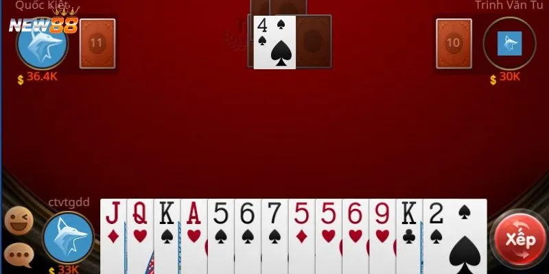 Cách nuôi dàn đề hiệu quả theo khung