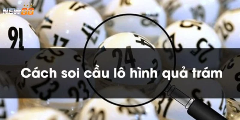 Soi cầu quả trám – Giải mã cầu trám qua bảng kết quả 2 Tìm hiểu về cầu quả trám trong lô đề