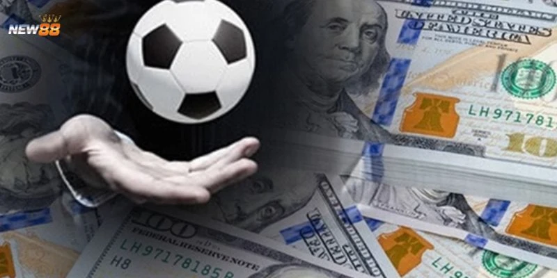 Bí quyết chơi kèo rung tại New88 - Bí kíp dân chuyên thường áp dụng 2 Tìm hiểu đặc điểm của kèo rung